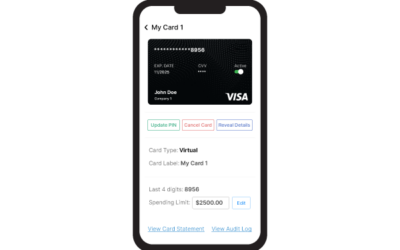 Secure Payments: the Role of Virtual Card APIs in Reducing Fraud for Businesses 