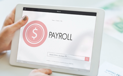 Efficient Small Business Payroll Software: Manage Your Finances Easier