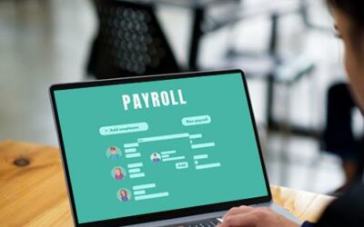 Unlocking Small Business Payroll Potential: Finding the Perfect Software Solution