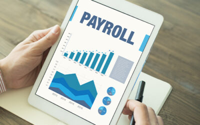 Optimizing Precision and Productivity in Payroll Management