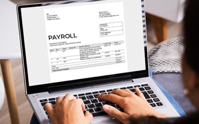 Unlocking Potential: Choosing the Best Payroll For Small Business